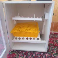 دستگاه جوجه کشی
