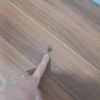 میز|میز و صندلی غذاخوری|مسجد سلیمان, |دیوار