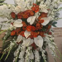 گل ترحیم و افتتاحیه