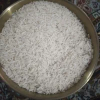 برنج طارم هاشمی