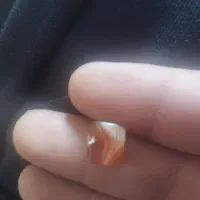 مهره سلیمانی اصل