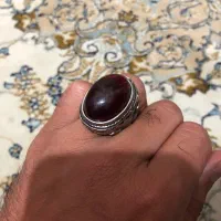 معاوضعه با پرنده