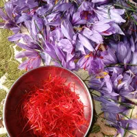 فروش زعفران