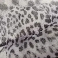 مبلغی چند میلیون پول درشت گم کردم