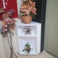 استند وپادری