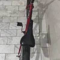 دوچرخه|دوچرخه، اسکیت، اسکوتر|قم, شاد قلی|دیوار