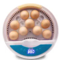 دستگاه جوجه کشی