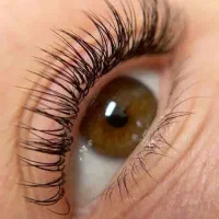 تخفیف اکستنشن مژه ،کاشت مژه،لیفت ابرو|خدمات آرایشگری و زیبایی|تهران, درختی|دیوار