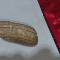 سنگ شجر دریایی پر و سنگ عقیق|جواهرات|فردیس, شهرک شهید حسینی|دیوار