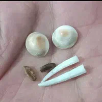 مهرهه