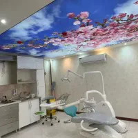 فروش مطب دندانپزشکی آماده پا به صفر|فروش دفتر کار، اتاق اداری، مطب|اصفهان, ملک|دیوار
