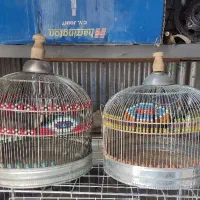 قفس پرنده