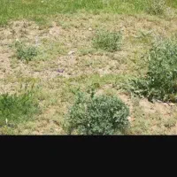 فروش زمین مسکونی