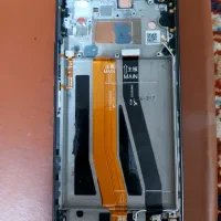 تاج ال سیدی روکارشیاعومی Mi11