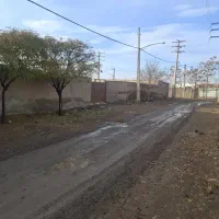 زمین-سهیلیه-زعفرانیه-سند-تک-برگ