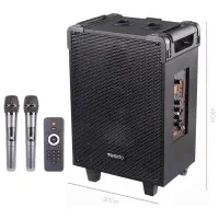 اسپیکر چمدانیYesido YSW15