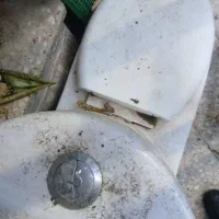 توالت فرنگی