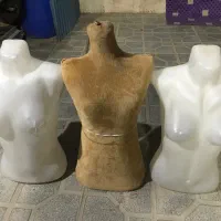 مانکن|فروشگاه و مغازه|نهاوند, |دیوار