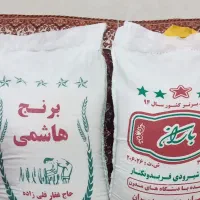 مجری فروش برنج های اقتصادی با برکت انشالله