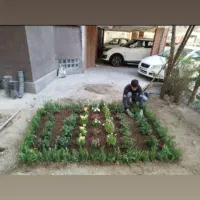 گل کاری وباغبانی هرس کاری وپابیل کردن|خدمات باغبانی و درختکاری|قم, مصلاء|دیوار