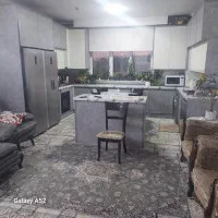 53 نفیس شمالی