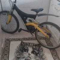 دوچرخه ۲۴|دوچرخه، اسکیت، اسکوتر|مشکین‌دشت, |دیوار