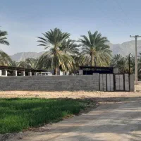 اجاره دامداری