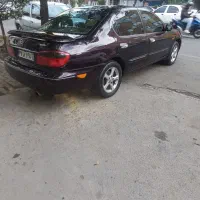 ماکسیما ۸۱