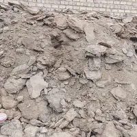 کود درجه ۱|خدمات باغبانی و درختکاری|رفسنجان, |دیوار