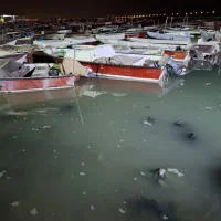 موتور قایق|قایق و سایر وسایل نقلیه|بندر ماهشهر, |دیوار