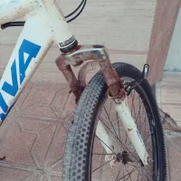 دوچرخه ویوا|دوچرخه، اسکیت، اسکوتر|مشهد, کلاته برفی|دیوار