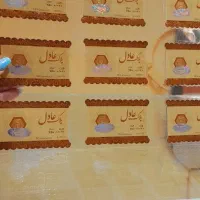 سکه پارسیان