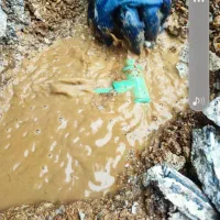 نشت یابی وتعمیرات با دستگاه صوتی و تصویری دراهواز|خدمات پیشه و مهارت|اهواز, زیتون کارمندی|دیوار