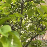 راهنمایی کنید