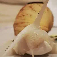 حلزون آچاتینا آلبینو