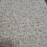 برنج عنبربولوکس حمزه|خوردنی و آشامیدنی|دزفول, |دیوار