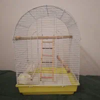قفس پرنده