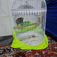 قفس طوطی و مرغ مینا  نو
