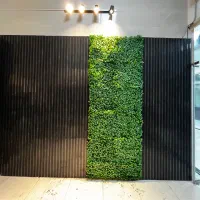 دکوراسیون داخلی کناف-دامپا-نورپردازی-کابینت گویم|خدمات پیشه و مهارت|شیراز, گویم|دیوار