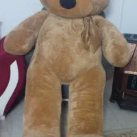 عروسک‌ خرس|اسباب‌بازی بچه|مشهد, کشف|دیوار