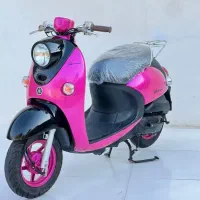 فروش پاکشتی بصورت تک و عمده