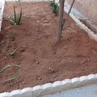خاک باغچه  تعویض خاک باغچه  ماسه  بادی رودخانه ای|خدمات باغبانی و درختکاری|شیراز, زرهی|دیوار