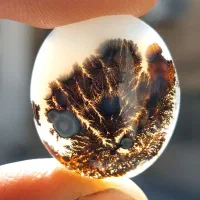 انگشتر شجر اصل معدنی