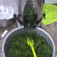 سبزی خوردن|خردکن، آسیاب، غذاساز|اهواز, کوی باهنر|دیوار