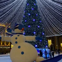 تـور کریسمس|تور و چارتر|گرگان, |دیوار