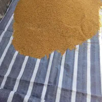 گندم به مقدار ۲۰۰ کیلو