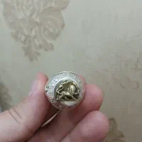 انگشتر نقره،شیر و خورشید