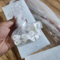 آکواریوم شرکتی با همه وسایل|ماهی|شیراز, کوشک میدان|دیوار