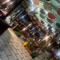 ویتر  سالنکار