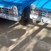 خرید فروش زامیاد صفر وکار کرده